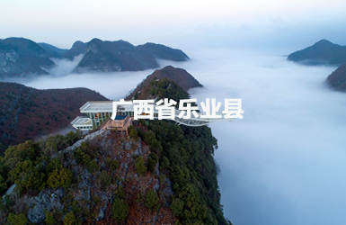 乐业县人大