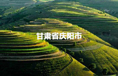 庆阳市人大常委会履职平台