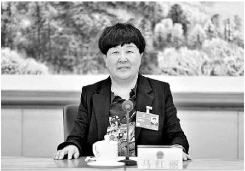  全国人大代表马红丽：统筹推进黄河中游发展示范区建设