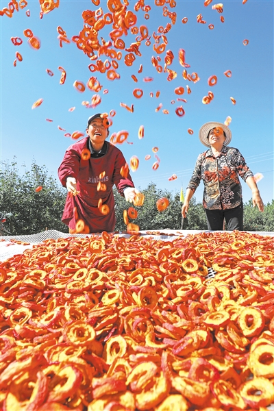  加强生态保护 推动绿色转型