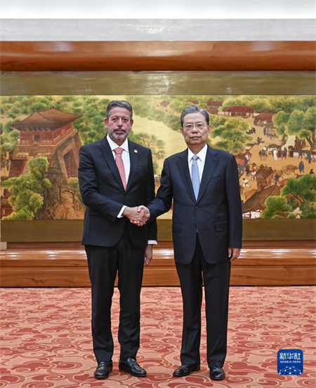  赵乐际同巴西众议长里拉举行会谈