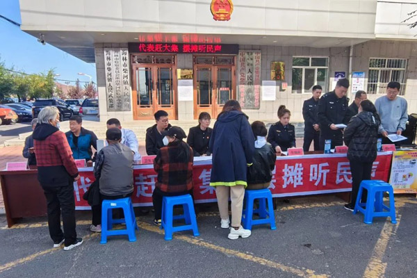 海林市柴河镇人大：代表“赶集”连民心“摆摊”履职纾民困