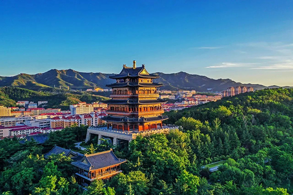  威海市环翠区：“一站五组”激活基层治理“一池春水”