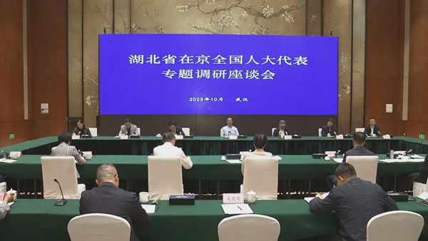 部分全国人大代表到鄂调研