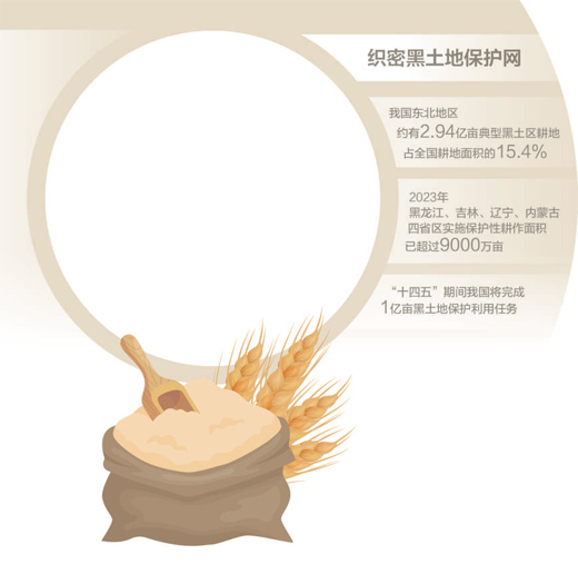  把黑土地用好养好