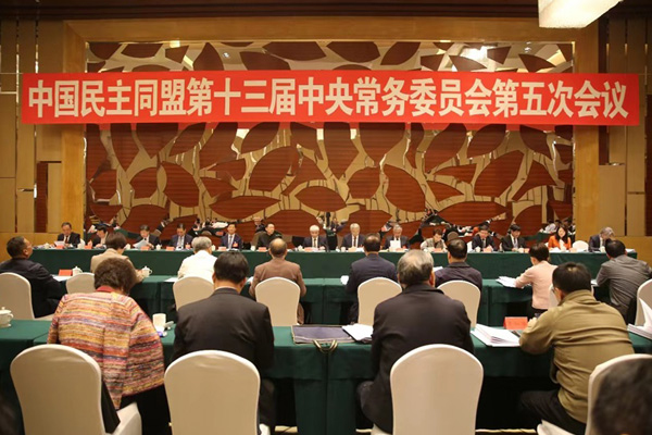  民盟十三届五次中常会在京举行 丁仲礼主持会议