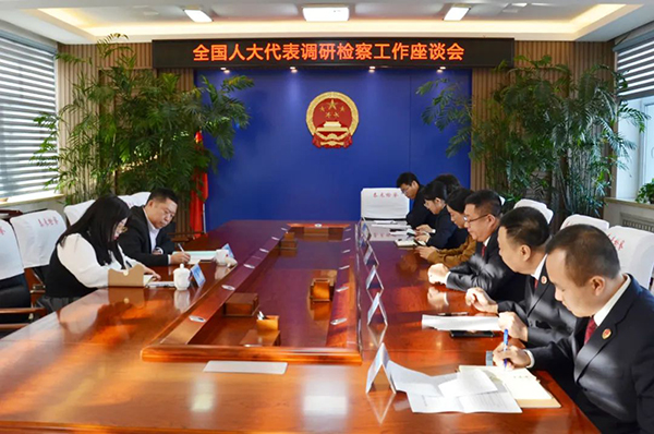  全国人大代表马兵到泰来县人民检察院开展专题调研
