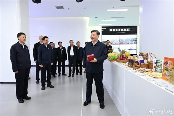  习近平在广西南宁市考察调研