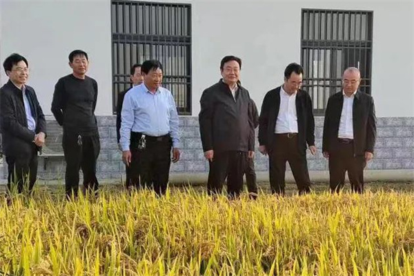  盐城人大：以良法善治护航乡村振兴