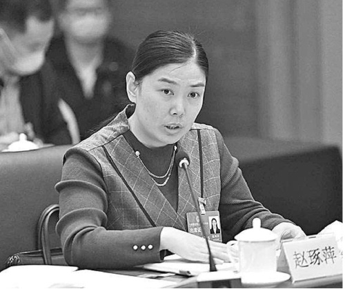  全国人大代表赵琢萍：加大页岩油勘探开发力度　端牢“能源饭碗”