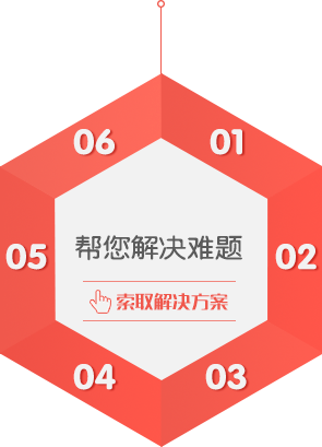 数字人大